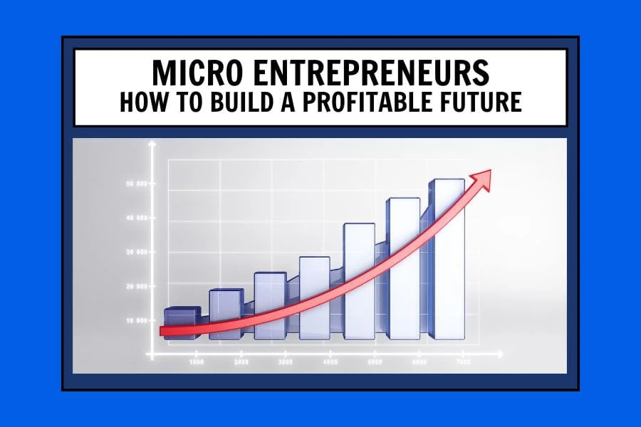 Micro Entrepreneurs: How to Build A Profitable Future